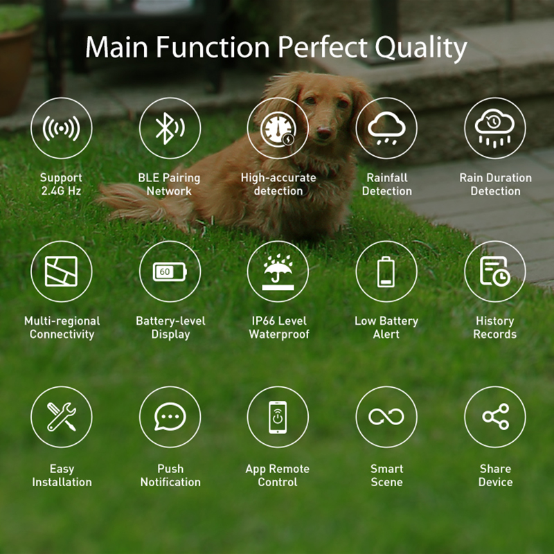WiFi Rain Sensor Rainfall Dura - đánh giá và giá Smart Home Outdoor