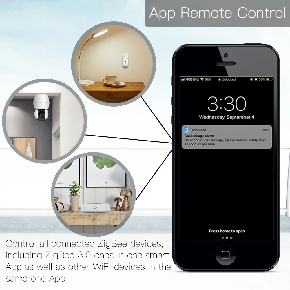 Tuya ZigBee 3.0 Thông Minh Cửa - đánh giá và giá Smart Home Outdoor